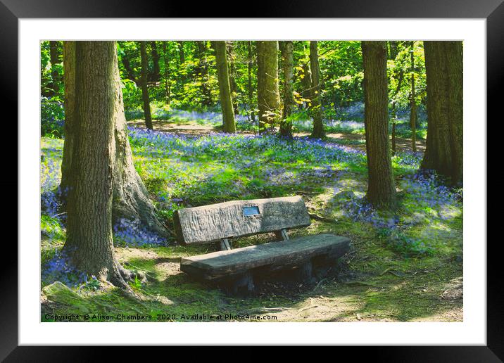 Newmillerdam Bluebell Seat Framed Mounted Print by Alison Chambers