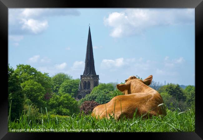 Enjoying The View at Wentworth  Framed Print by Alison Chambers