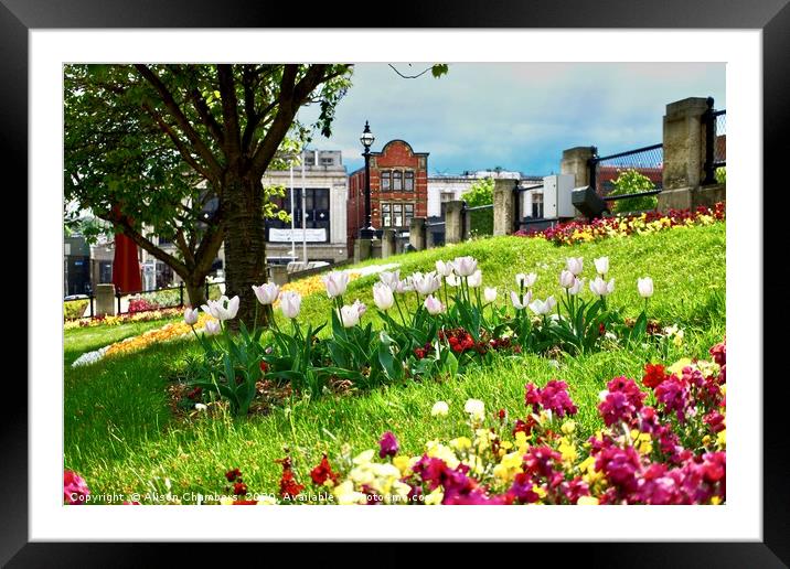 Barnsley Town Centre  Framed Mounted Print by Alison Chambers