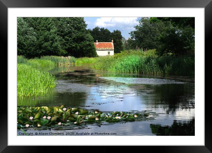 Water Lily Cottage Framed Mounted Print by Alison Chambers