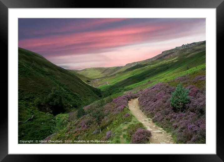 Grindsbrook in Bloom  Framed Mounted Print by Alison Chambers