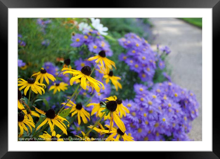 Late Summer Colours Framed Mounted Print by Alison Chambers