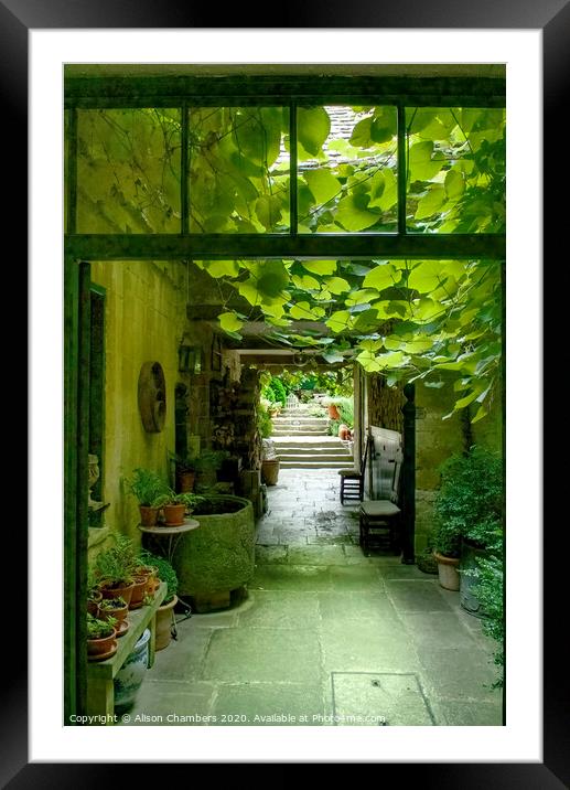 The Atrium Framed Mounted Print by Alison Chambers