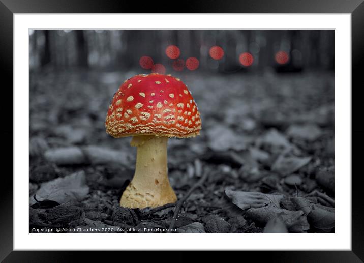 Fly Agaric Toadstool  Framed Mounted Print by Alison Chambers