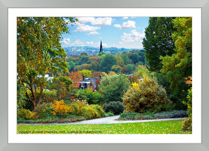  Autumn Bliss in Sheffield Botanical Gardens  Framed Mounted Print by Alison Chambers