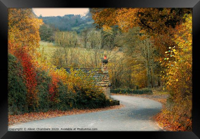 Autumn in Ashover Framed Print by Alison Chambers