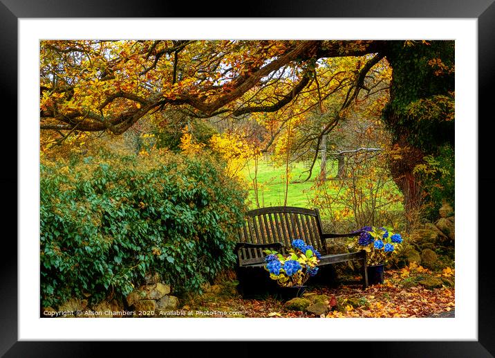 Ashover Autumn Bench Framed Mounted Print by Alison Chambers