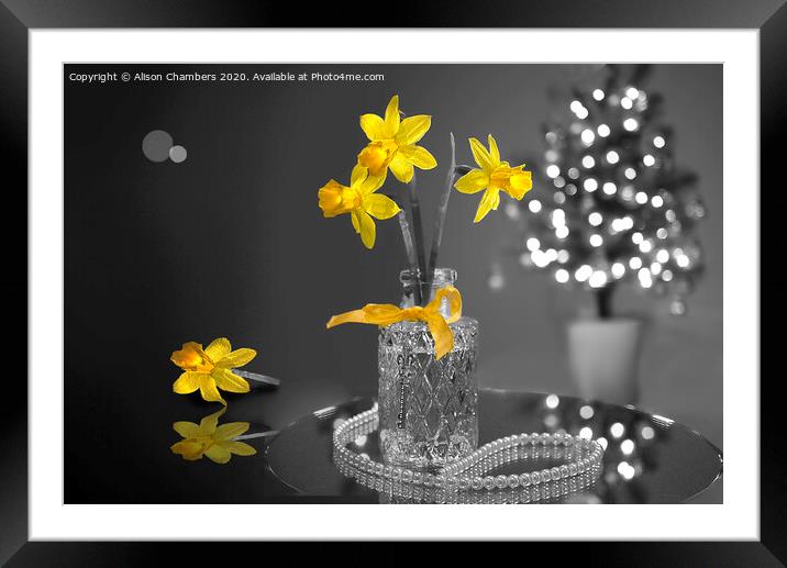 Dressing Table Narcissi  Framed Mounted Print by Alison Chambers