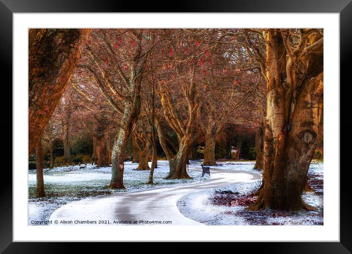 Snow Covered Path At Locke Park Framed Mounted Print by Alison Chambers