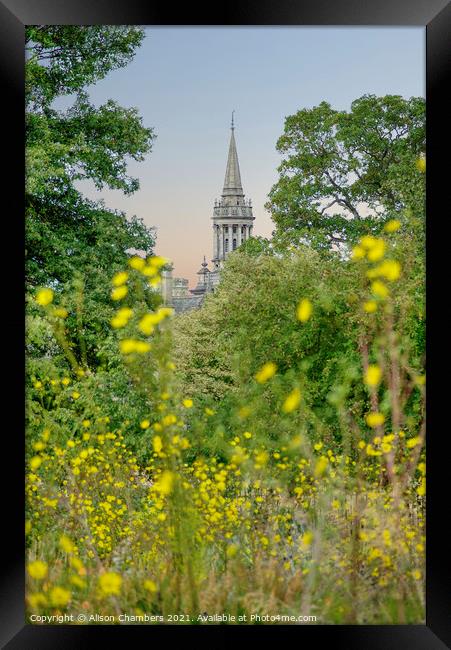 Lincoln College Library Oxford Framed Print by Alison Chambers