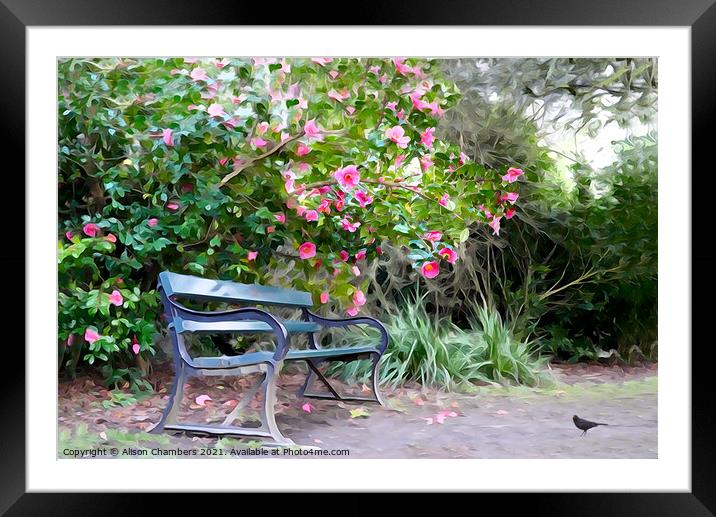 Camellia Bench Framed Mounted Print by Alison Chambers