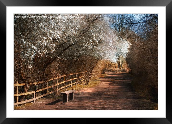 Worsbrough Mill Blossom Seat Framed Mounted Print by Alison Chambers
