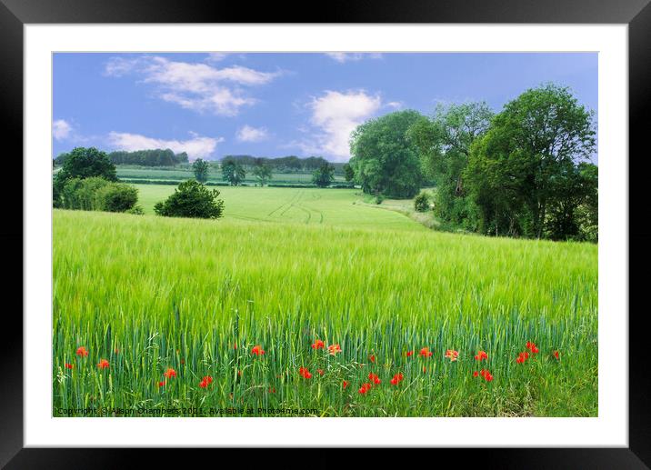 Frickley Landscape Doncaster Framed Mounted Print by Alison Chambers