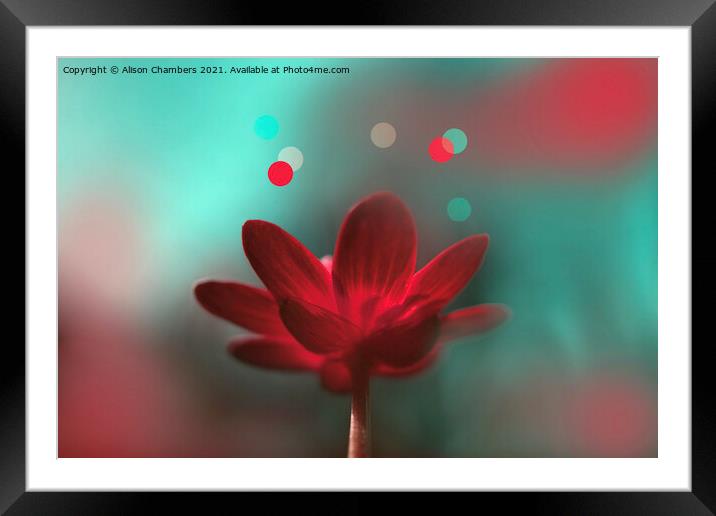 Turquoise and Red Aesthetic  Framed Mounted Print by Alison Chambers