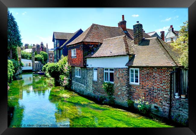 The River Stour at Canterbury Framed Print by Alison Chambers