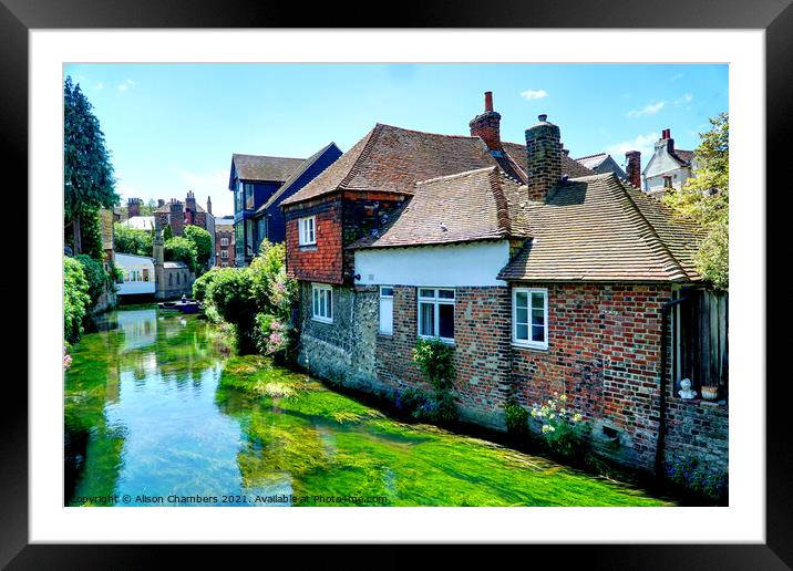 The River Stour at Canterbury Framed Mounted Print by Alison Chambers