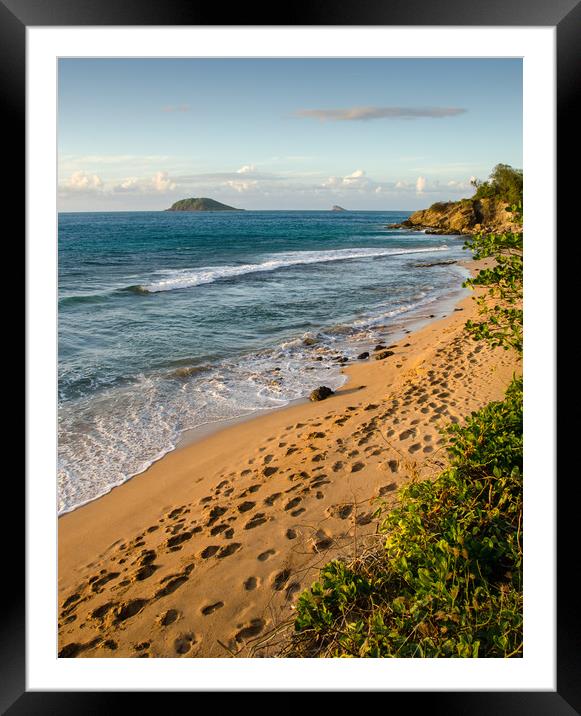 Caribbean Footpath, Guadeloupe Framed Mounted Print by Ian Homewood