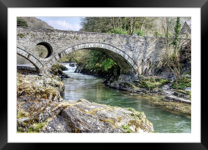 Cenarth Falls and Bridge, Pembrokeshire, Wales Framed Mounted Print by Ian Homewood