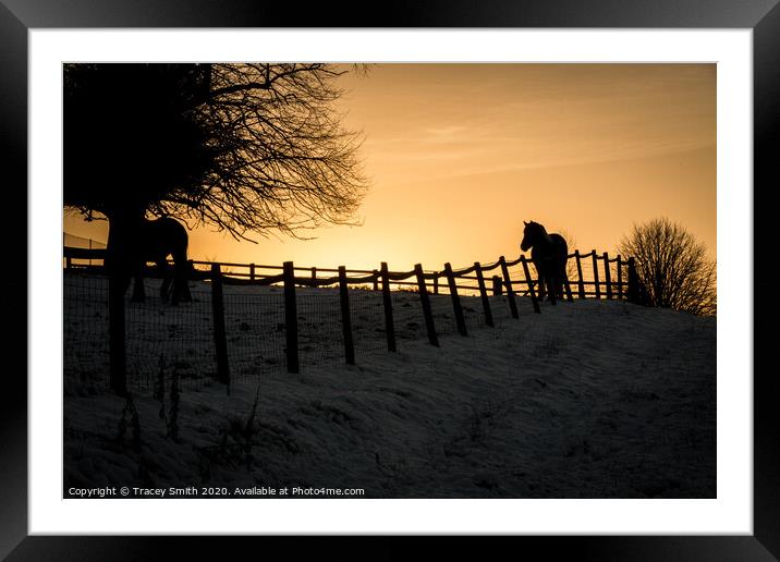 A Silhouette of a Horse Framed Mounted Print by Tracey Smith