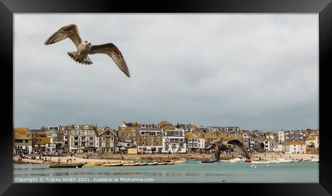 The Harbour at St Ives, Cornwall Framed Print by Tracey Smith