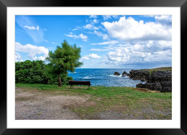 nice view of the sea with a bench under the tree Framed Mounted Print by David Galindo