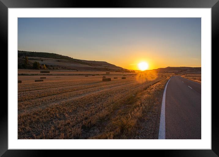 empty road crossing agricultural field at sunset Framed Mounted Print by David Galindo