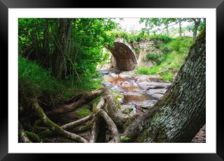 ancient roman stone bridge over the river in the middle of the forest Framed Mounted Print by David Galindo