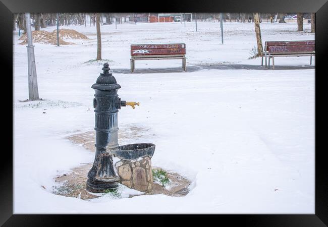 water fountain in the park with snow in winter Framed Print by David Galindo