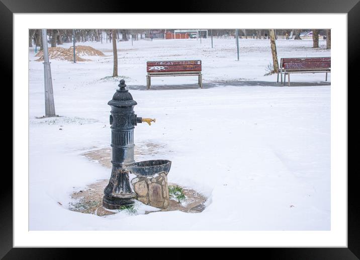 water fountain in the park with snow in winter Framed Mounted Print by David Galindo