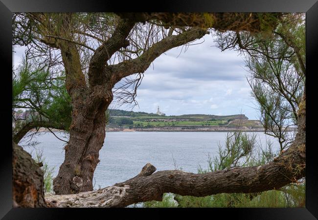 view of the sea coast from wooded cliff Framed Print by David Galindo