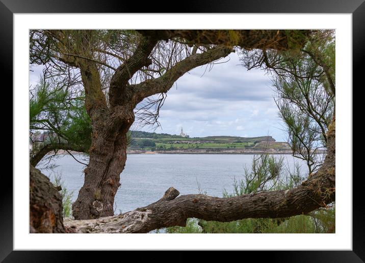 view of the sea coast from wooded cliff Framed Mounted Print by David Galindo