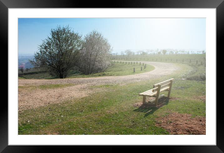 empty wooden bench in spring park with a path Framed Mounted Print by David Galindo