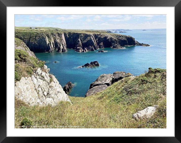 Along the South Wales Coastal Path in Pembrokeshire Framed Mounted Print by David Mather