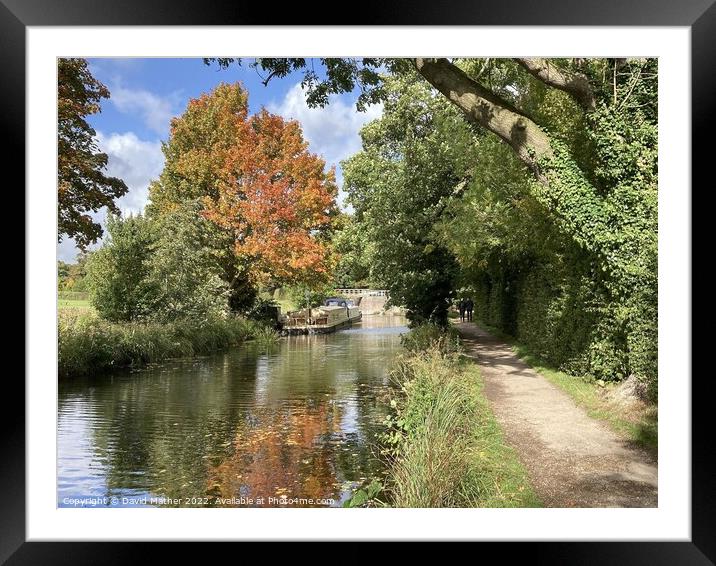 Autumn comes to the Ripon Canal Framed Mounted Print by David Mather