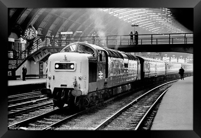 Deltic hauled 'Flying Scotsman' Framed Print by David Mather