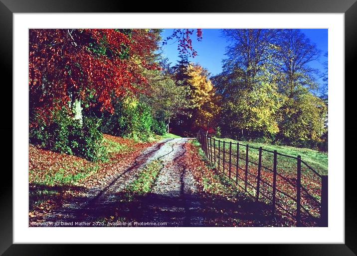 The colours of Autumn Framed Mounted Print by David Mather
