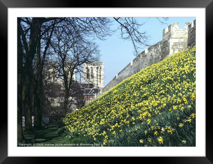 York Minster and City Wall Framed Mounted Print by David Mather