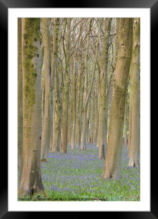  Trees and bluebells Framed Mounted Print by Simon Johnson