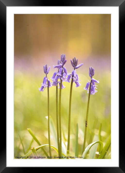 Bluebells to attention Framed Mounted Print by Simon Johnson