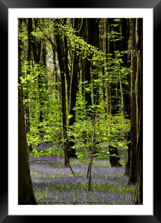 bluebell wood Framed Mounted Print by Simon Johnson