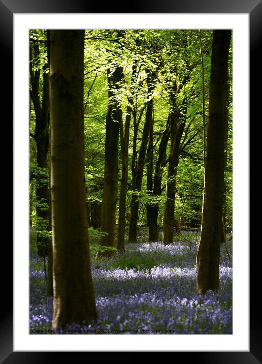 bluebell woodland Framed Mounted Print by Simon Johnson