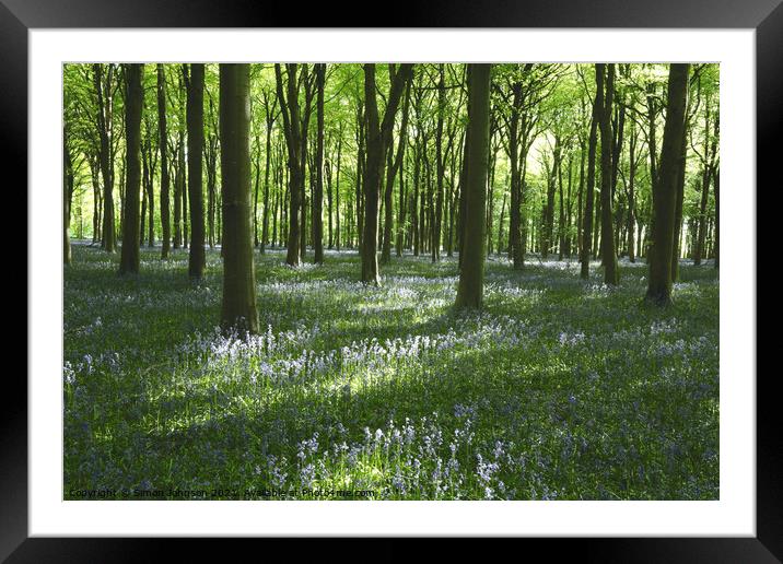 sunlit bluebells Framed Mounted Print by Simon Johnson