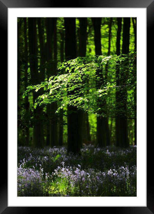 Sunlit Woods with Bluebells Framed Mounted Print by Simon Johnson