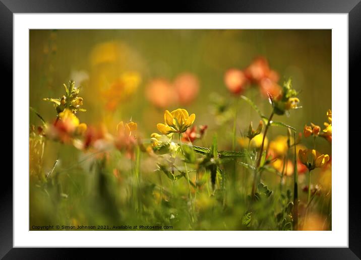 Cotswold Meadow Flowers Framed Mounted Print by Simon Johnson