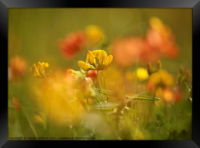 Meadow Flowers Framed Print by Simon Johnson