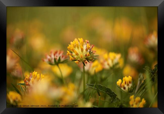 Meadow Flowers Framed Print by Simon Johnson