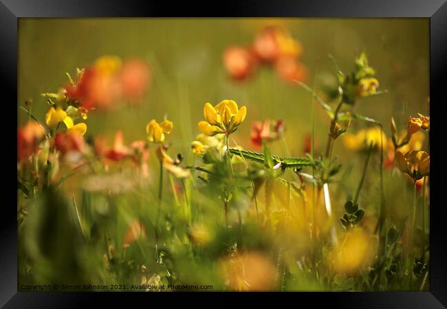 meadow flowers Framed Print by Simon Johnson