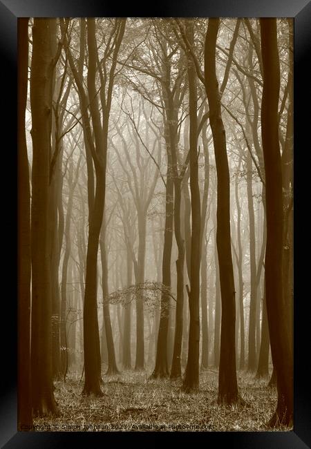 misty woodland Framed Print by Simon Johnson