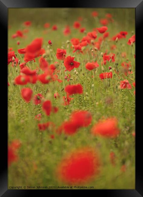 Cotswold Poppies  Framed Print by Simon Johnson
