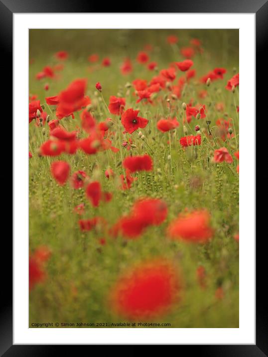 Cotswold Poppies  Framed Mounted Print by Simon Johnson